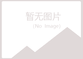 青铜峡夏岚计算机有限公司